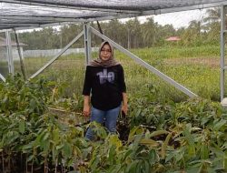 KADIN Parimo Minta Pemprov Segera Susun Aturan Durian