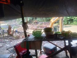 Kawasan Hutan Perbatasan Parimo-Donggala Hancur Akibat PETI