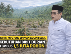 Parimo Siapkan Lahan Besar, Kebutuhan Bibit Durian Tembus 1,5 Juta Pohon