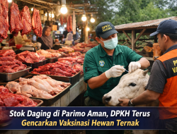 Stok Daging di Parimo Aman, DPKH Terus Gencarkan Vaksinasi Hewan Ternak