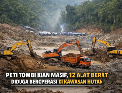 PETI Tombi Kian Masif, 12 Alat Berat Diduga Beroperasi di Kawasan Hutan