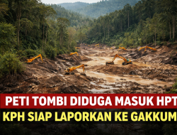 PETI Tombi Diduga Masuk HPT, KPH Siap Laporkan ke Gakkum