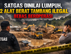 Satgas Dinilai Lumpuh, 12 Alat Berat Tambang Ilegal Bebas Beroperasi