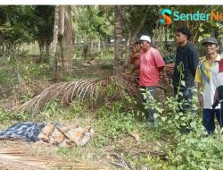 Polres Parimo Dalami Kasus Pembunuhan Siswa SMP di Avolua