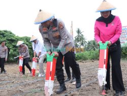 Polres Parimo Targetkan Penanaman Jagung 700 Hektare Sepanjang 2026
