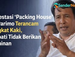 Investasi “Packing House” di Parimo Terancam Angkat Kaki, Bupati Dinilai Belum Beri Jaminan