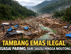 Tambang Emas Ilegal Kuasai Parimo, Dari Sausu hingga Moutong