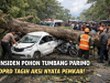 Tragedi Pohon Tumbang di Parimo, DPRD Desak Aksi Nyata Pemkab