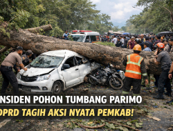 Tragedi Pohon Tumbang di Parimo, DPRD Desak Aksi Nyata Pemkab