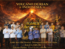 Palu Jadi Titik Awal Revolusi Durian! ‘Volcano Durian Indonesia’ Siap Mengguncang Dunia