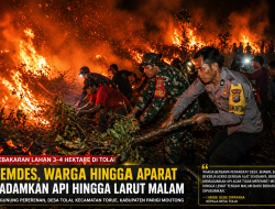 Kebakaran Lahan 3-4 Hektare di Tolai, Pemdes dan Warga Hingga Aparat Padamkan Api Hingga Larut