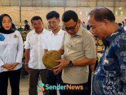 Kepala Barantin Dorong Ekonomi Hijau lewat Ekspor Durian Parimo
