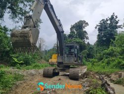 Alat Berat yang Sempat Diamankan Kembali Beroperasi di PETI Tombi