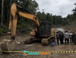 Barang Bukti PETI di Kawasan Hutan Tombi Hilang Saat Menunggu Evakuasi