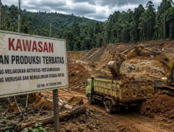 Peti Sipayo Diduga Garap Kawasan Hutan Produksi Terbatas