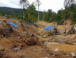 PETI Sipayo Disebut Masuk HPT, Kini Makin Dekat Hutan Lindung
